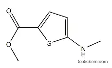 Methyl 5-(MethylaMino)thiophene-2-carboxylate  China
