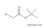 High Quality Tert-Butyl Chloroacetate