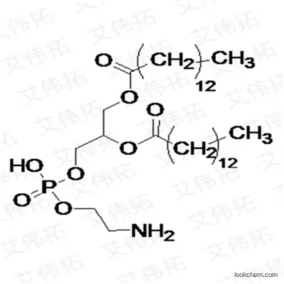 DMPE Dimyristoylphosphatidylethanolamine