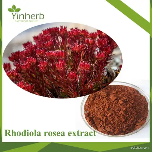 Professional Manufacture Plant Extracts Rhodiola Rosea Powder Extract Rosavin Raw Powder