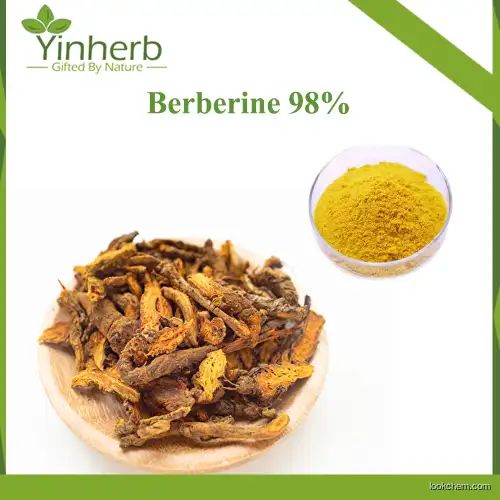 Yinherb Bulk Supply Pure Berberine HCl Berberine Hydrochloride Powder