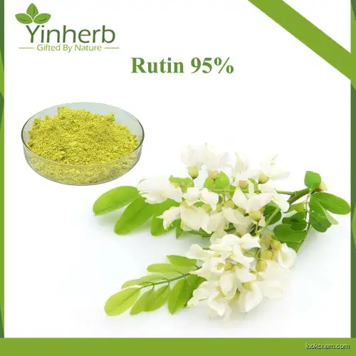 Natural Sophora Japonica Extract Rutin 95% Use in Cosmetic 100% Natural Rutin Raw Powder