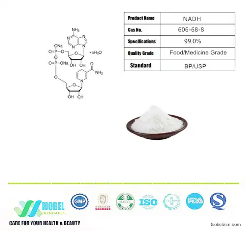 Manufacturer Supply Anti Aging Antioxidant Coenzyme NADH Nicotinamide Adenine Ninucleotide