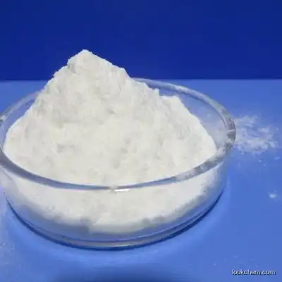 Sodium bicarbonateSodium bicarbonate / food grade / Sodium hydrogen carbonate(144-55-8)