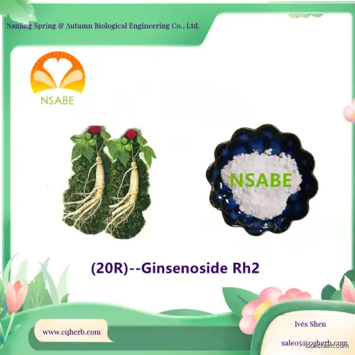 (20R)-Ginsenoside Rh2(112246-15-8)