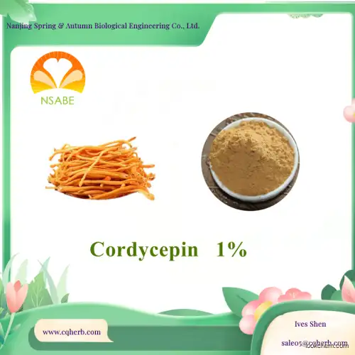Factory Price Cordyceps Militaris Extract Powder Cordycepin 1% 21% 98%