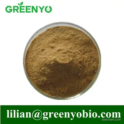 Ginkgo Extract Ginkgo Leaf Extract 24:6 Ginkgo biloba Extract Powder