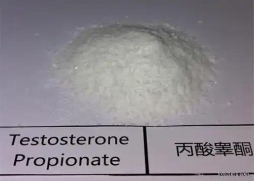 Pharmaceutical Raw Materials Testosterone Propionate For Muscle Building Test Prop Steroiod 57-85-2(57-85-2)