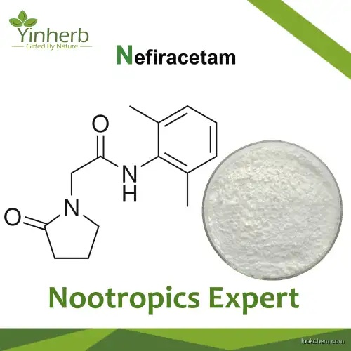 Yinherb Lab Suking Supply High Purity Nootropic Nefiracetam CAS: 77191-36-7