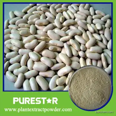 White Kidney Bean Extract,Phaseolin