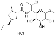 high quality Clindamycin hydrochloride 99%