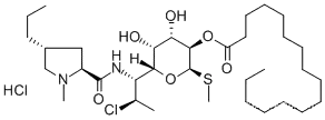 high quality Clindamycin palmitate hydrochloride 99%