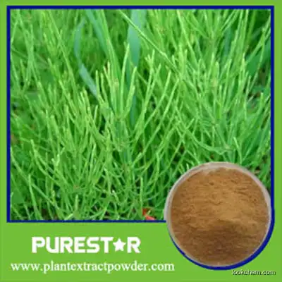 Horsetail Extract