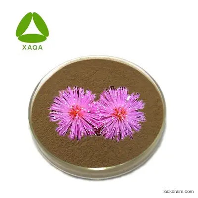 Free Sample Natural Herbal Supplement 10:1 Scutellaria Baicalensis Root Extract Powder