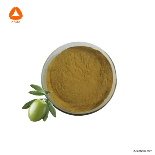 Nautral Vegan 100% pure Olive leaf extract Hydroxytyrosol Powder