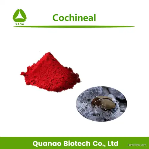 Top quality colorant Carmine Cochineal powder/ liquid 5% 50% for Textile