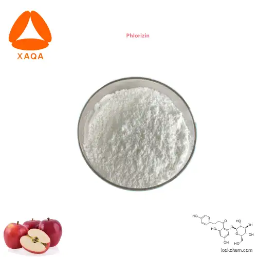 Skin whitening anti-oxidant raw material natural apple peel / root extract Phlorizin 90% powder