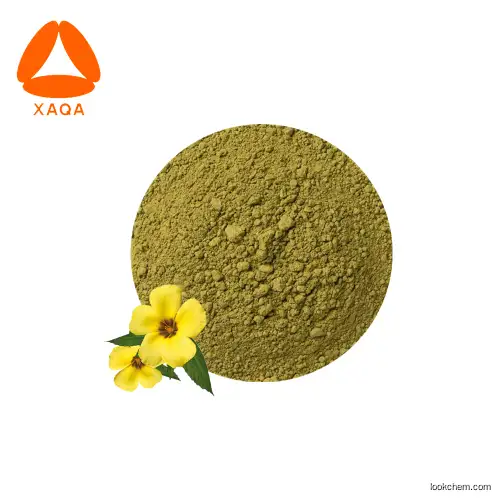 New Product Banaba Leaf Extract Corosolic Acid Powder With Comepatitive Price