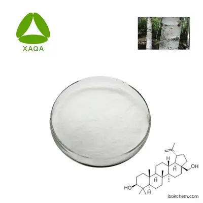 Factory Supply Betula Platyphylla Japonica Bark Extract White Birch Bark Extract 98% Betulinic Acid Powder