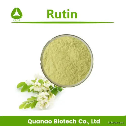 High Quality Sophora Japonica Extract Rutin NF11 95% UV