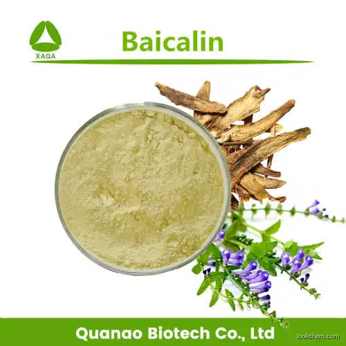 Scutellaria Baicalensis Root Extract Baicalin 85% Powder