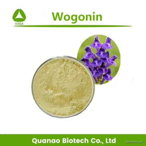 Scutellaria Baicalensis Root Extract  Wgonin 98% Powder
