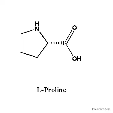 Buy L-Proline 99%