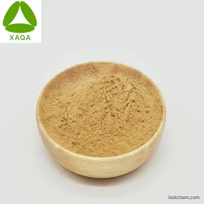 Factory supply Panax Ginseng root Extract Ginsenoside 80% with high quality