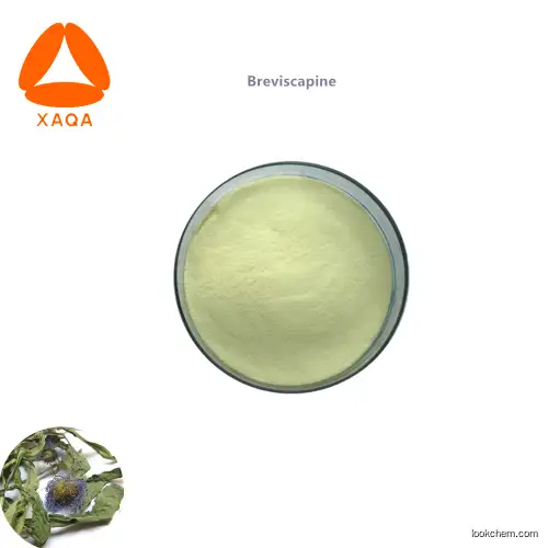 high quality &purity API natural Erigeron breviscapus extract Breviscapine powder 98%