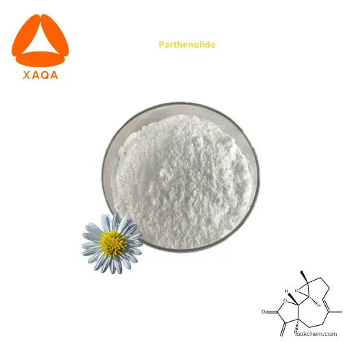 Ease pain using API high quality natural Parthenolide 98% HPLC powder extract from Feverfew