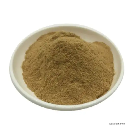 Pure Natural High Quality Radix Rehmanniae Extract Catalpol/Catalpol Powder