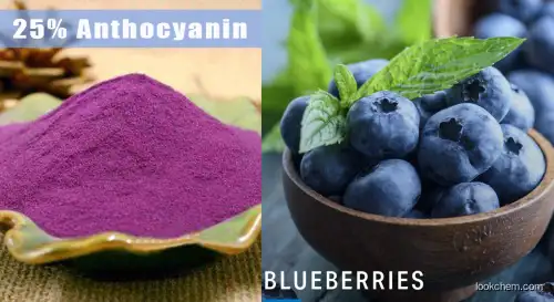Blueberry 25% Anthocyanin powder(13306-05-3)
