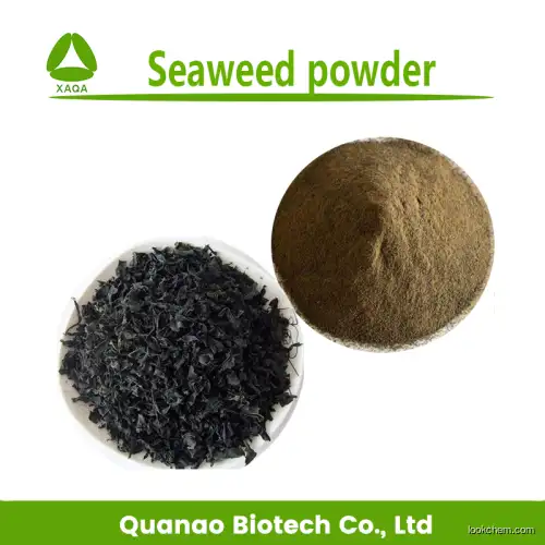 Sargassum powder Seaweed extract of Fucoxanthin 50%