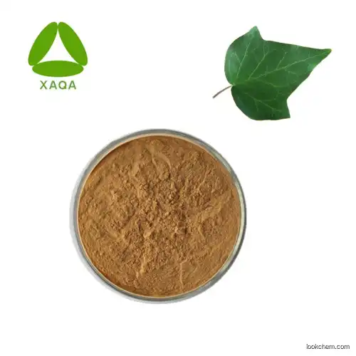 Organic Ivy Leaf Extract 5% Hederacoside C cas:14216-03-6