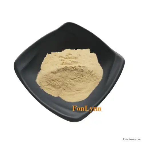 Luo Han Guo Extract Monk Fruit Extract Powder Natural Organic 10%-80% 98% Mogrosid V cas 88901-36-4