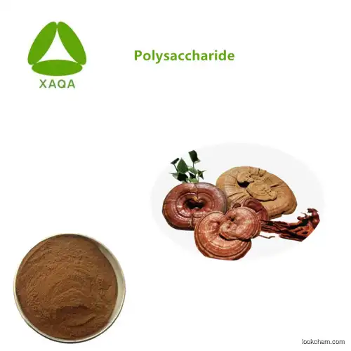 Natural Feed Adsorption Product 100% Water Soluble 80% Sarsaponin Powder Yucca Root Extract Yucca Schidigera Extract