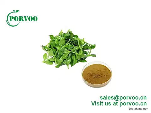 Natural Andrographis Paniculata Leaf Extract Andrographis Extract 98% Andrographolide
