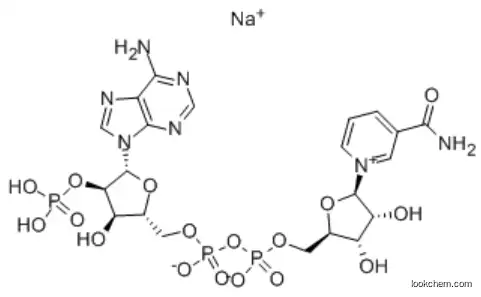 NADP, Monosodium Salt - CAS 1184-16-3
