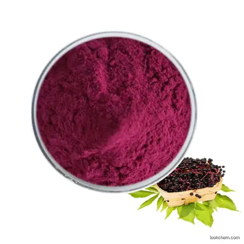 Best Price Anthocyanidins,Black Elderberry Extract Powder(84603-58-7)