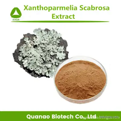 Lichen Extract Xanthoparmelia Scabrosa Extract Powder 10:1