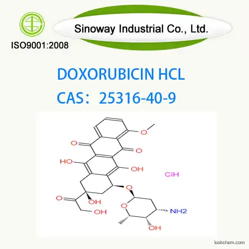 Factory supply Doxorubicin Hcl/Hydrochloride CAS 25316-40-9(25316-40-9)