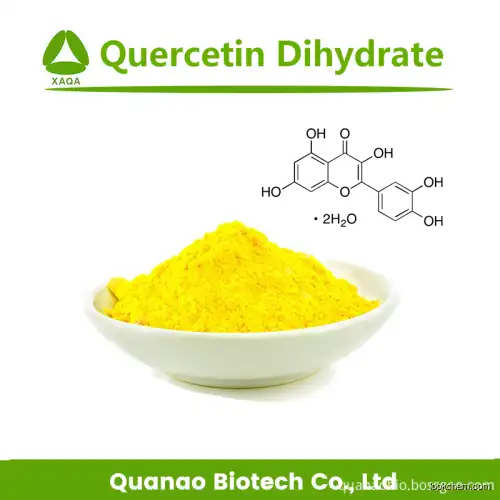 Sophora Japonica Extract Quercetin Dihydrate 98% UV Powder