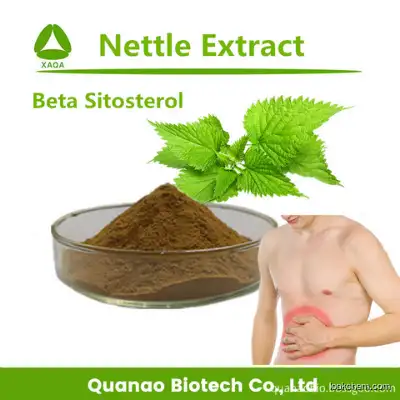 Nettle Leaf Extract Beta Sitosterol 1% Powder