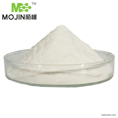 Magnesium Oxide CAS 1309-48-4