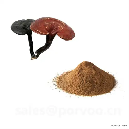 Wholesale Organic Ganoderma Extract, main functions of Ganoderma extract,Reishi mushroom Extract(223751-82-4)