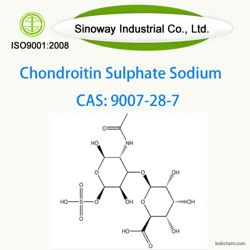 High Quality Chondroitin Sulphate Sodium CAS 9007-28-7(9007-28-7)