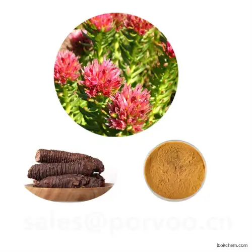 Rhodiola extract,main functions of rhodiola rosea Extractfor Strengthen immune and skin care(97404-52-9)