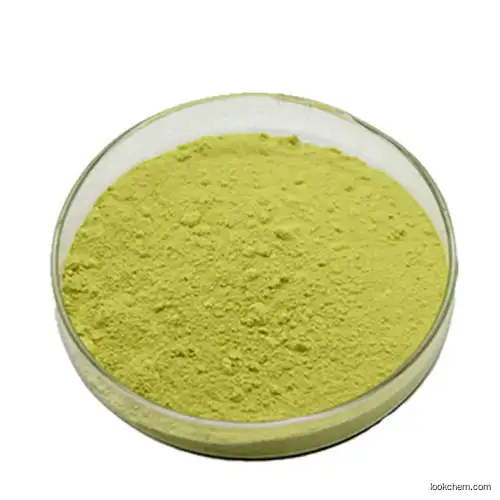 Hot Selling Sophora Japonica Extract Powder 95% 98% Quercetin for Cough Suppressant & Expectorant