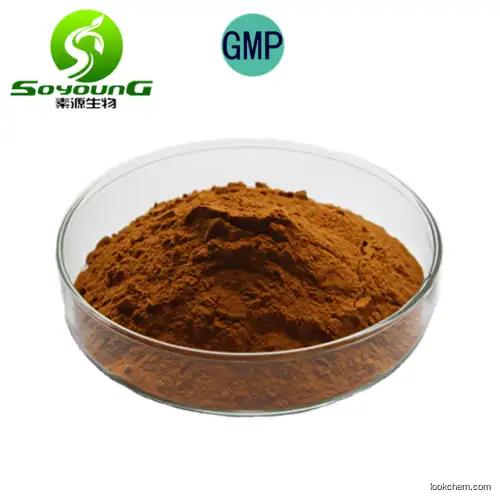 Natural L-Theanine powder 20% 40% source Green Tea