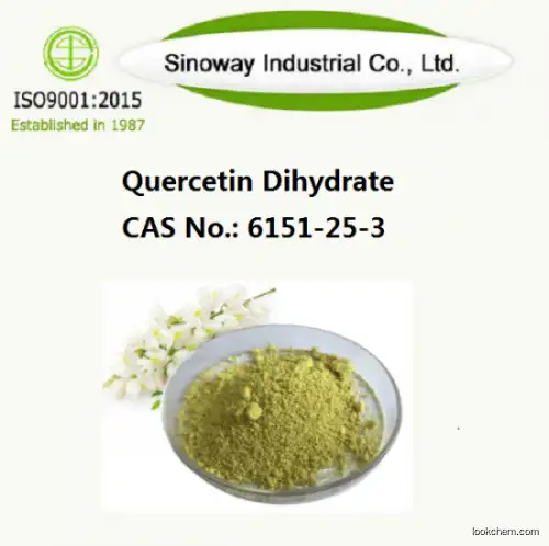 Factory Supply 95%-98% Quercetin Dihydrate powder